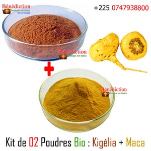 Kit Soin Naturel Kigelia – Poudre 50g + Huile 50ml – 100% Naturel – Fabrication Gabon – Idéal Pour Le Corps