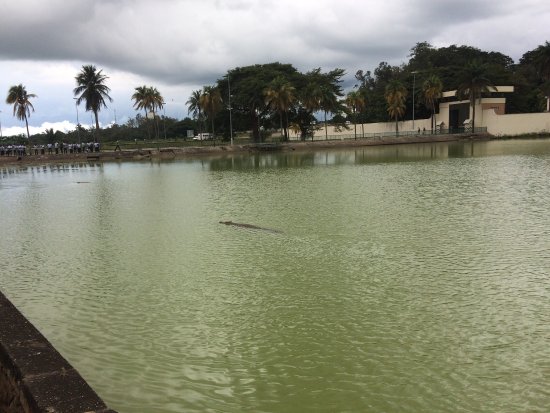 Yamoussokro (Lacs aux crocodiles)