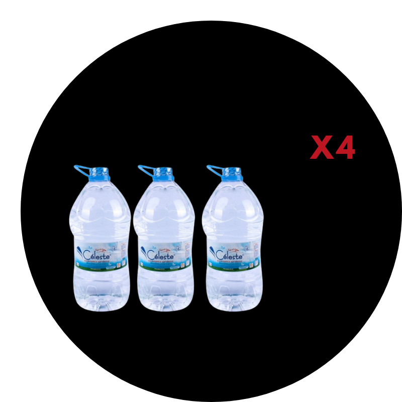 *EAU MINERALE CELESTE 5L x 4