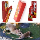 Super Colle ORIGINALS. Glu Anti-rongeurs En Tube Pour Rat, Souris. Piège à Souris Et Rats
