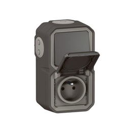 Prise de courant et va-et-vient étanche précâblés Plexo pour installation en vertical livré complet pour montage en apparent anthracite