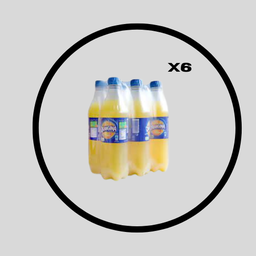 ORANGINA PET 50CL x 6