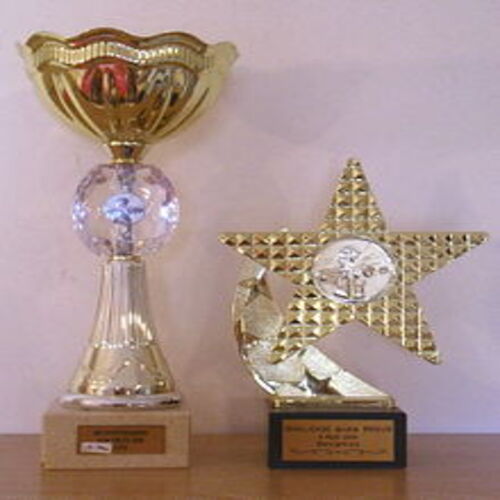 trophée graveur expert