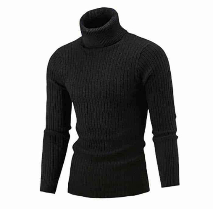 Pulls à cols roulés