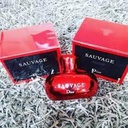 SAUVAGE DE DIOR