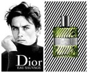 SAUVAGE DE DIOR
