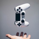 Manette PS4