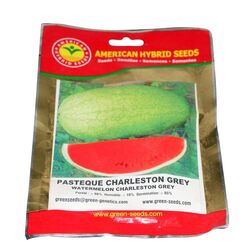 GREEN SEEDS Semence Gombo Clemson Spineless