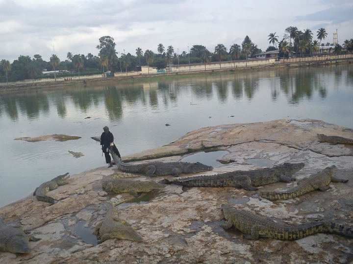 Yamoussokro (Lacs aux crocodiles)