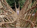 Man(Pont de liane)