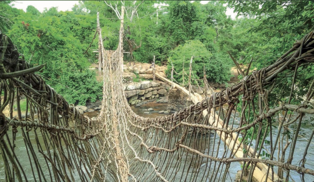 Man(Pont de liane)