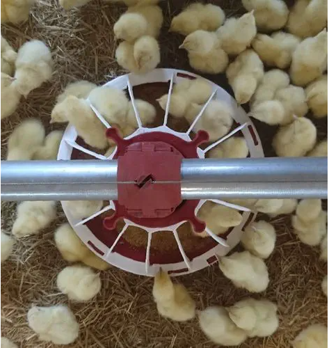 Mangeoire pour volaille