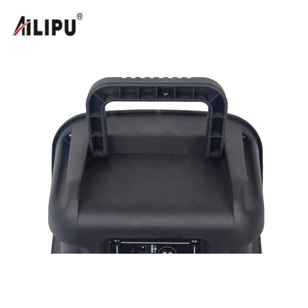 8 pouces dj box autoradio amplificateur alimenté pa haut-parleur karaoké basse sans fil haut-parleur portable boîtier en plastique