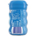 Mentos Pure Fresh Gum Bottle Wintergreen x35