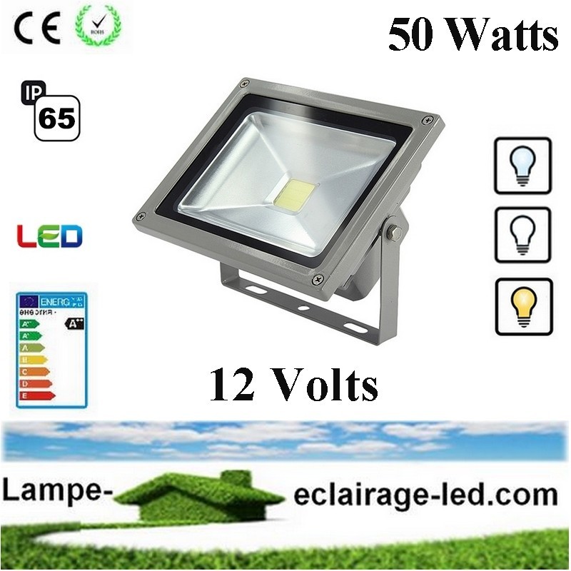 Mini Projecteur 12V-50W