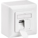 Prise Murale Universelles Cat5/6 - 1x Ports RJ45 - Protégés- Apparent/encastré - Blanc