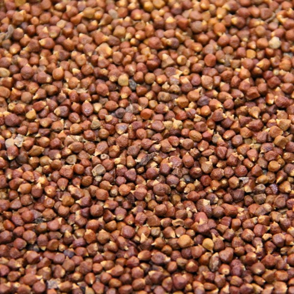 Maniguettes Ou Graines De Paradis 200g