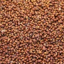 Maniguettes Ou Graines De Paradis 200g