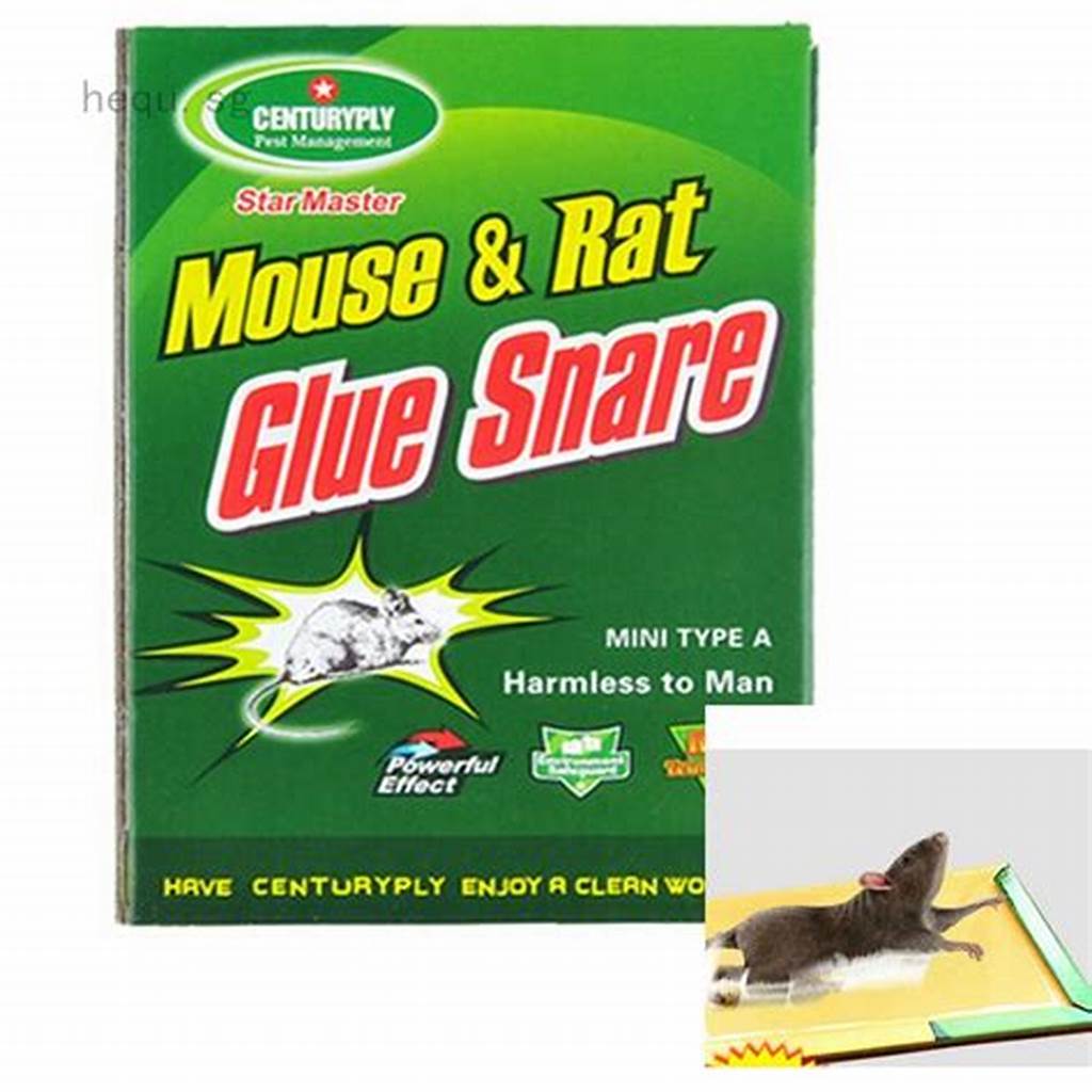 Marker Permanent Paque 10 Pcs Noir