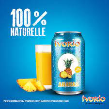 Ivorio Lot De 06 Canettes Ivorio Jus D'ananas