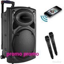 Jerry Baffle Amplifier + 2 Microphones