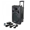 Jerry Baffle Amplifier + 2 Microphones