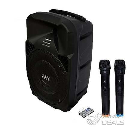 Jerry Baffle Amplifier + 2 Microphones