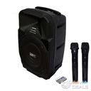 Jerry Baffle Amplifier + 2 Microphones