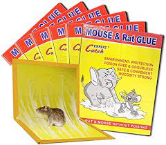 Nintendo Kit D'accessoires Tout-en-un  Pour Nintendo Switch