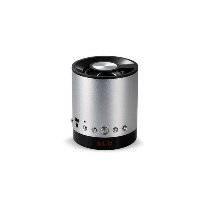 WS 887 Portable Bluetooth Mini Speaker HT - Argent