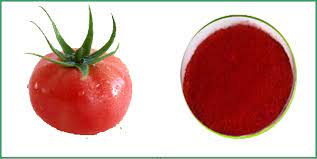 Poudre De Tomate 1kg
