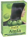 Poudre Indienne D'amla 100g