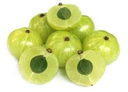 Poudre Indienne D'amla 100g