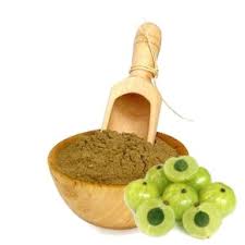 Poudre Indienne D'amla 100g