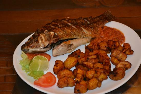 Alloco + poisson