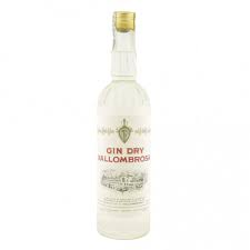 Gin Bony (12X1ltr)