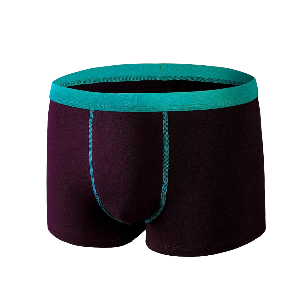 Caleçon Boxers Premium 4 EN 1