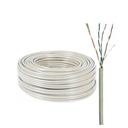 Câble Réseau Carton Catégorie 6 FTP Blindé 305 M - Gris