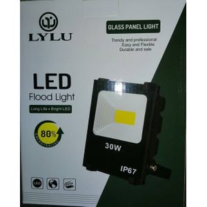 Projecteur  LED 30 W  IP67 Noir/Blanc