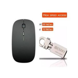Souris Optique Sans Fil  Noir Ou Blanc + Clé USB 32G Type Porte-clé Performante