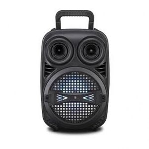 Haut-parleur Portable (basse 8 ", 1 Fil Micro) - JP-H9