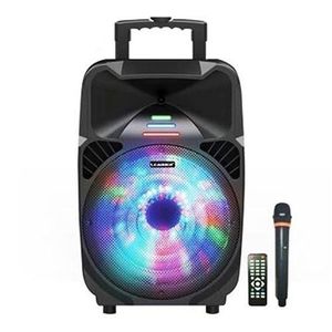 Haut-Parleur Portable Rechargeable Trolley Sans Fil + 2 MICRO OFFERT