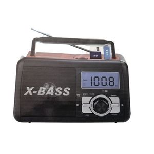 Poste Radio FM FP910RC - SD-USB-REC -Noir
