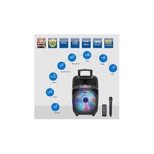 Haut-Parleur Portable Rechargeable Avec Microphones Sans Fil VHF - Noir