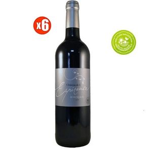 Bordeaux 6 Vins Rouges Bordeaux Château Pied D'Argent - 75 Cl - 14% Vol - France