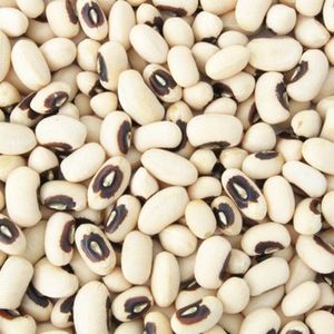 Gardenia Haricot Blanc - 1Kg
