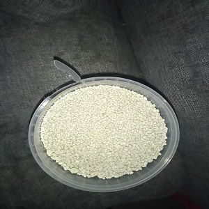 Gm Grains De Dêguê Et Bouillie