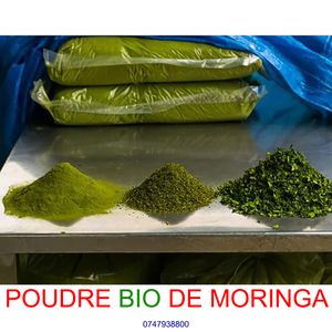 Poudre Bio De Moringa - 1Kg