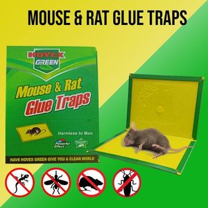 Piège à Souris Super Colle