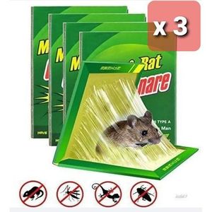 Piège à Souris Super Colle